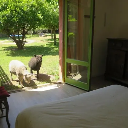 La Maison De Balou